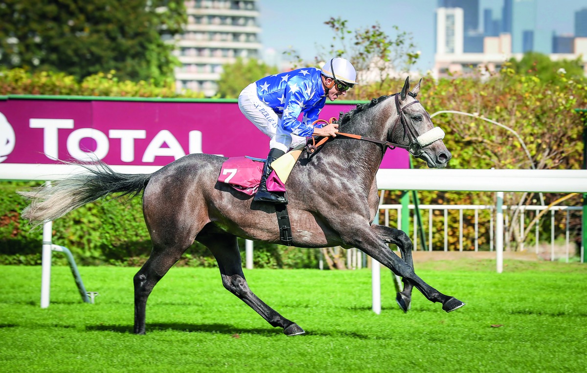 Rajeh, winner of Qatar Total Arabian Trophy Des Poulains 1.