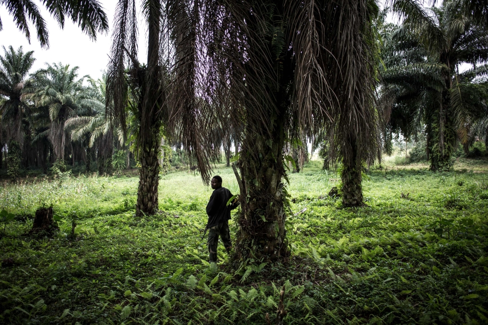 A soldier from the the Armed Forces of the Democratic Republic of the Congo (FARDC) standing in position outside an FARDC camp during a patrol in Beni on November 13, 2018.  AFP / John Wessels 

 
