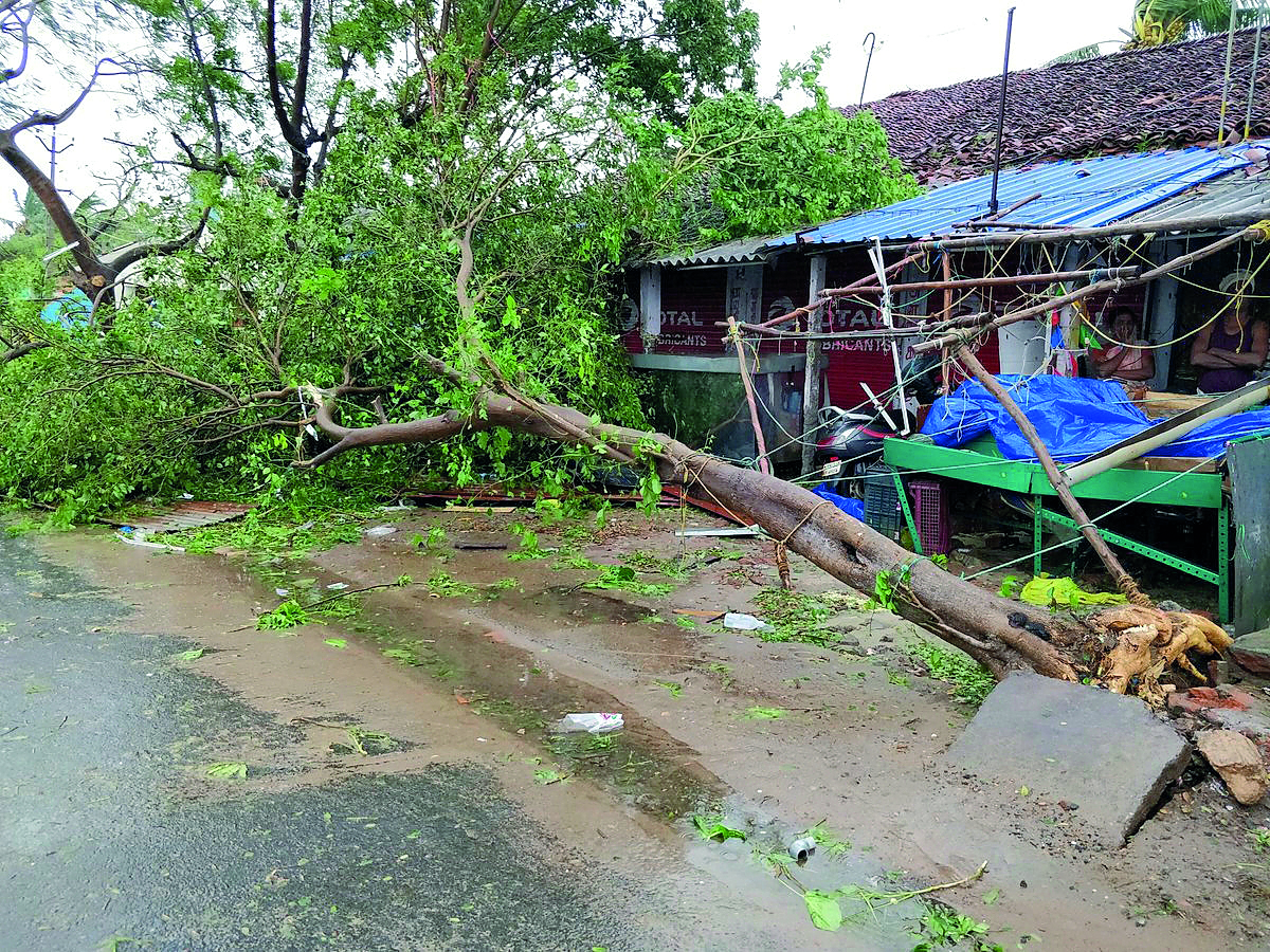 The aftermath of cyclone Gaja is seen in Tamil Nadu, India November 16, 2018 in this picture obtained from social media. Shabbir Ahmed/Via Reuters 