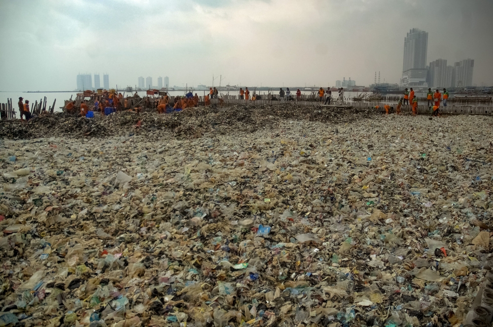 In this picture taken on March 17, 2018 workers clear up garbage piling up in Jakarta Bay area as part of the earliest local government combat against waste on its waters. / AFP / DASRIL ROSZANDI 