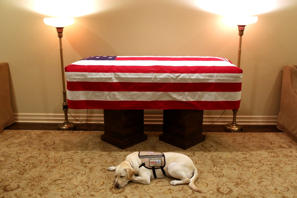 Sully, the service dog of George HW Bush in his final months, lays in front of Bush's casket at the George H. Lewis & Sons funeral home in Houston, Texas, December 3, 2018. Evan Sisley/George HW Bush office / via Reuters
