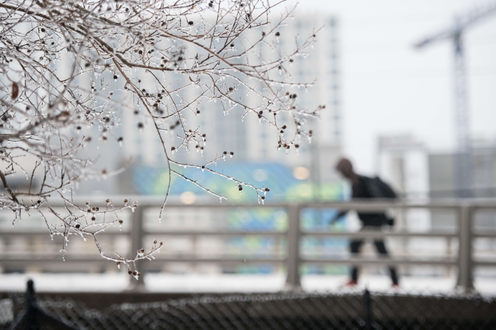A man walks across a bridge as ice collects on a tree branch on December 9, 2018 in Charlotte, North Carolina. Nearly 250,000 energy customers are without power because of the winter storm. Sean Rayford/Getty Images/AFP 