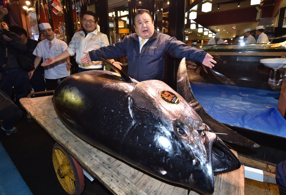 President of sushi restaurant chain Sushi-Zanmai, Kiyoshi Kimura (R), displays a 278kg bluefin tuna at his main restaurant in Tokyo on January 5, 2019.   AFP / Kazuhiro NOGI
