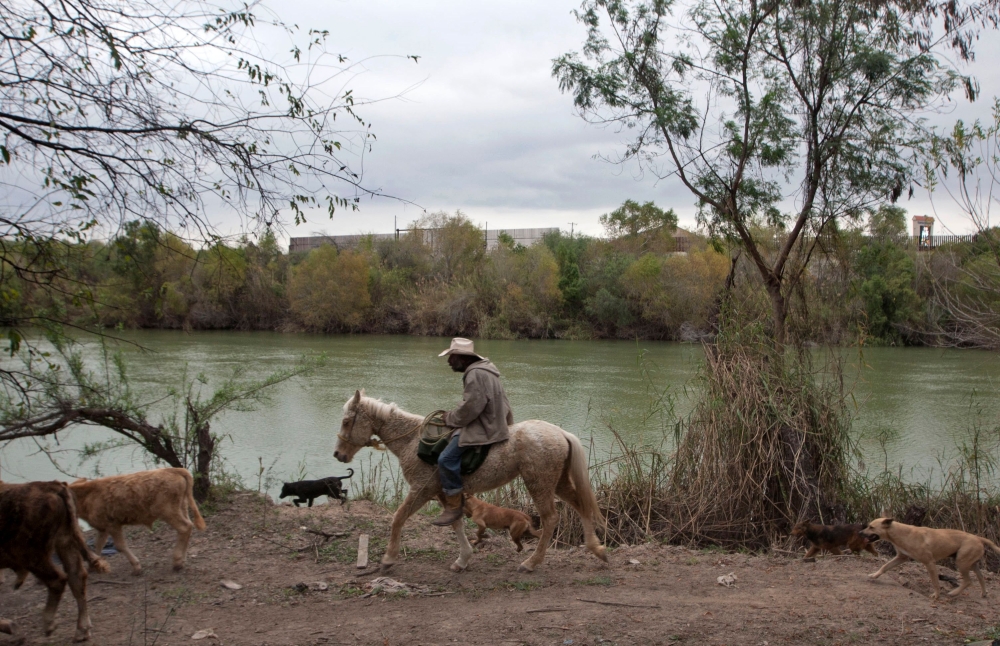 A man herds cows on the outskirts of the Mexican city of Reynosa, in Tamaulipas State, along the Rio Bravo river (or Rio Grande) across from the US city of Hidalgo, in Texas, on January 9, 2019. AFP / Julio Cesar Aguilar 