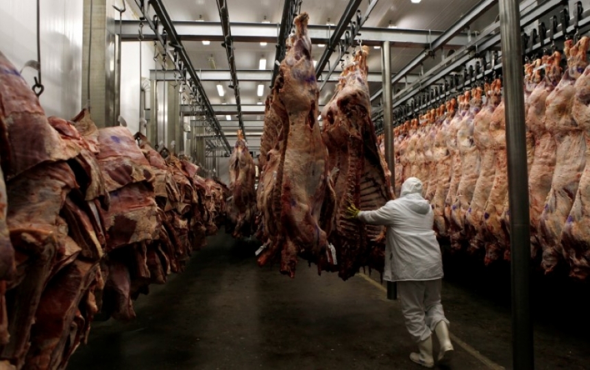 A worker arranges slaughtered cattle in the freezing room in the Marfrig Group slaughter house in Promissao, 500 km northwest of Sao Paulo, October 7, 2011. Reuters / Paulo Whitaker