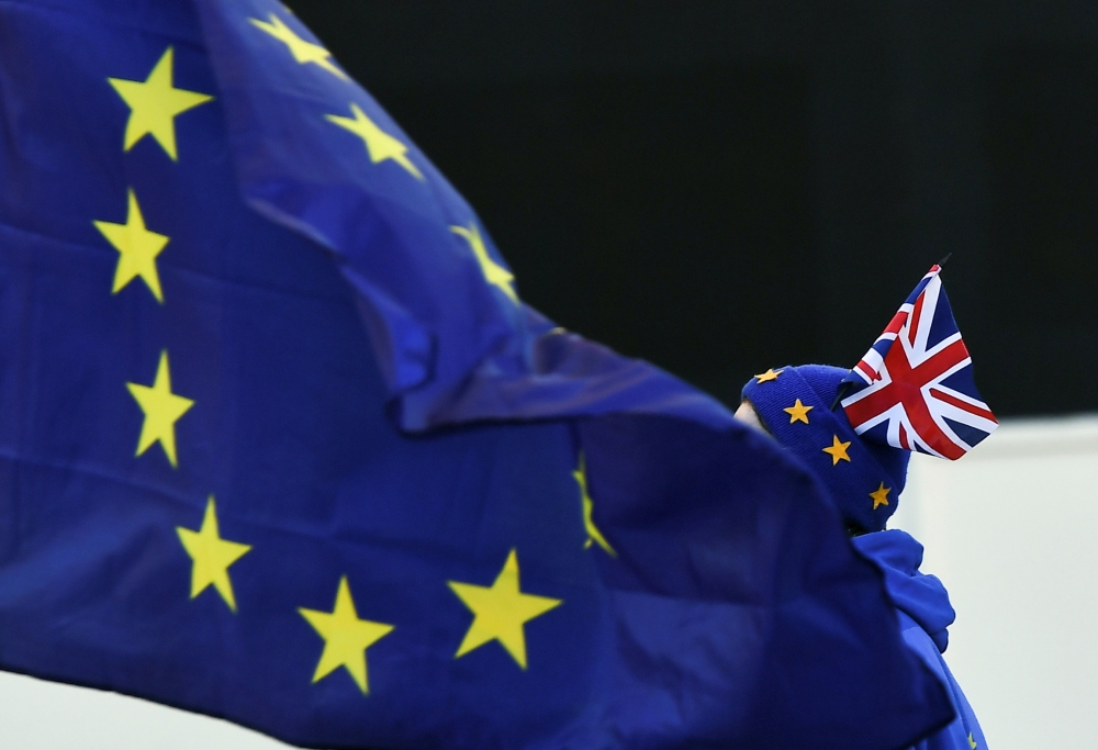 An anti-Brexit protester is seen outside the Houses of Parliament in London, Britain January 17, 2019. REUTERS/Clodagh Kilcoyne/File Photo