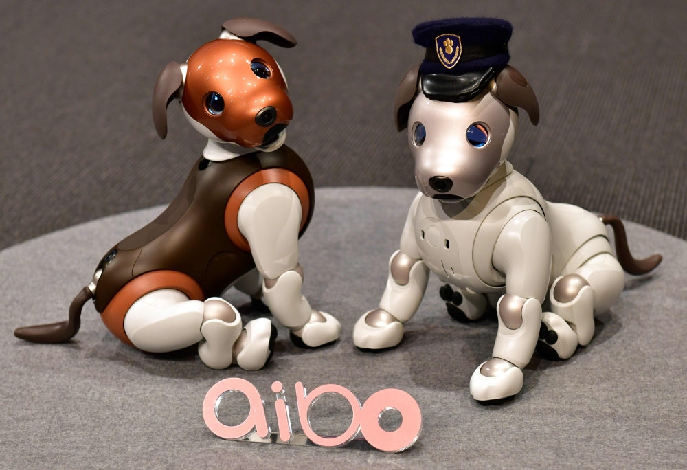 Versions of Sony's puppy-sized robot dog 