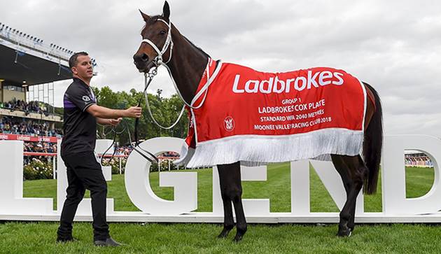 Winx after winning the Cox Plate for a fourth time last year (Racing Photos) 