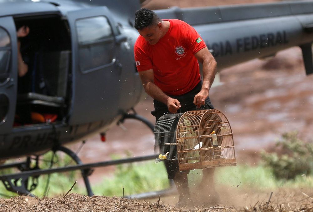 A firefighter carries rescued cages after a tailings dam from Brazilian miner Vale SA burst in Brumadinho, Brazil January 27, 2019. Reuters/Adriano Machado