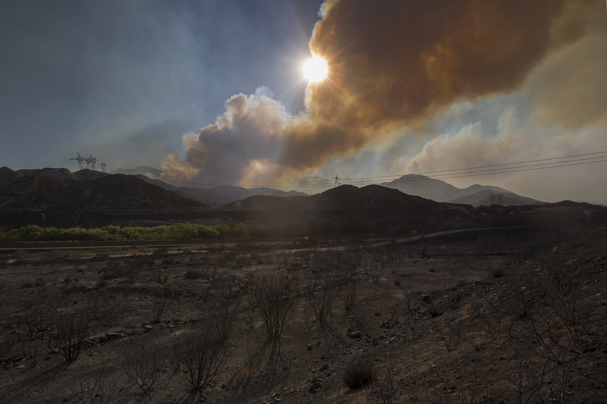 Rapidly slashing emissions - by switching to greener power, preserving forests and similar measures - remains the cheapest and safest way to fend off worsening droughts, floods, storms and other impacts of global warming, he said. (AFP/Getty Images) 