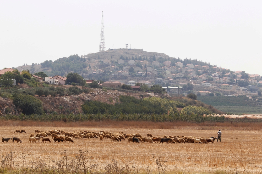 A herd of sheep graze near the Lebanese-Israeli border in Kfar Kila village, southern Lebanon, August 24, 2015. Reuters/Aziz Taher