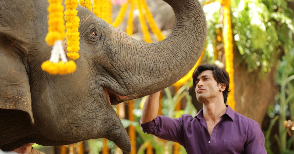 A still from the movie. 