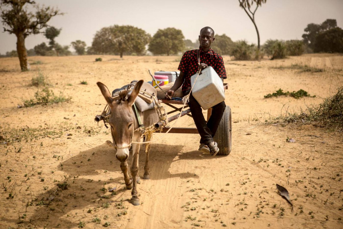 Mamadou Kassé, a vaccinator at the Sofara community health center, travels by donkey cart with vaccines to reach Kankelena village in Mopti region, Mali, March 15, 2019. UNICEF handout via Thomson Reuters Foundation 