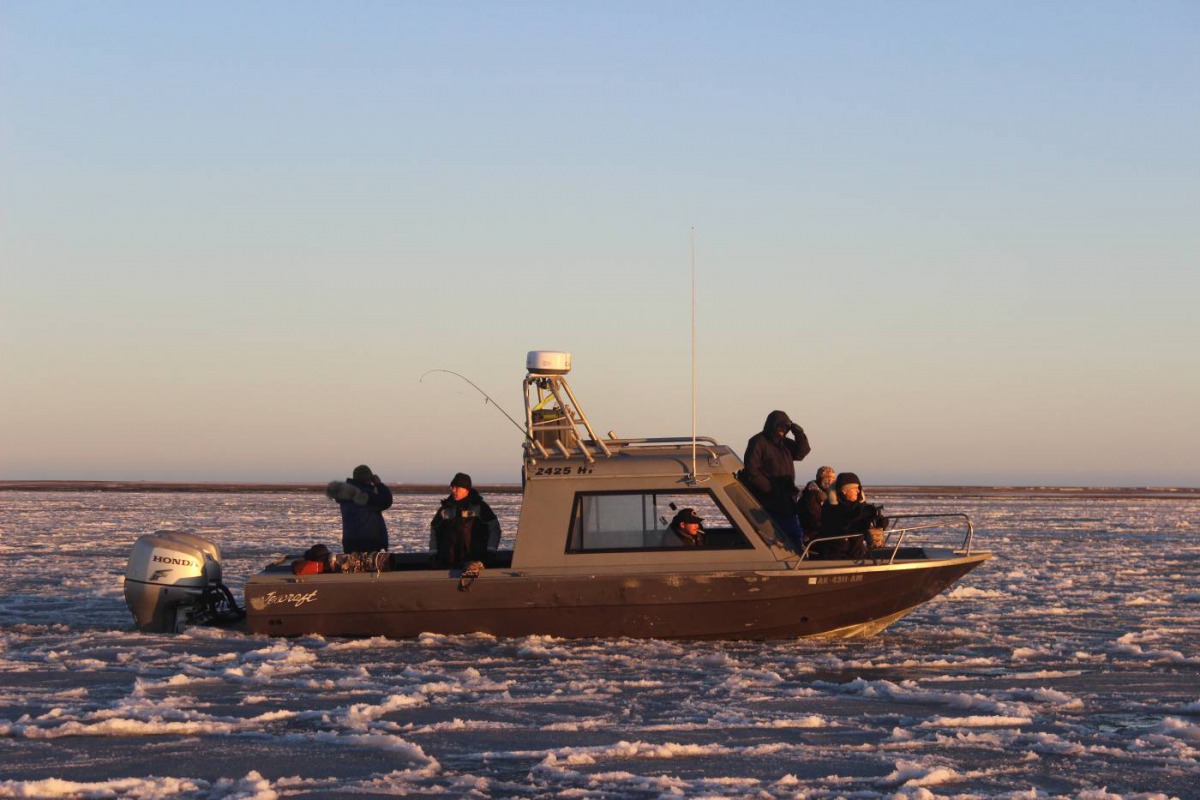 Polar Bear viewing from a boat in Kaktovik, Alaska, United States. Photo taken 7 October 2018. Thomson Reuters Foundation/Max Baring