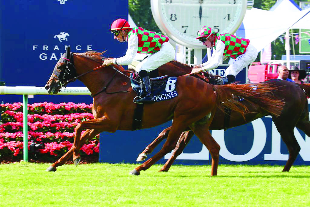 Action from the Qatar Racing & Equestrian Club (QREC)-sponsored Gr 1 Qatar Derby des Pur-Sang Arabe de 4 Ans at Chantily yesterday.