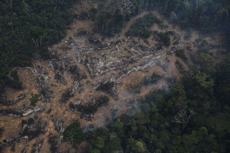 An aerial view of a deforested plot of the Amazon at the Bom Futuro National Forest in Porto Velho, Rondonia State, Brazil, September 3, 2015. Reuters/Nacho Doce