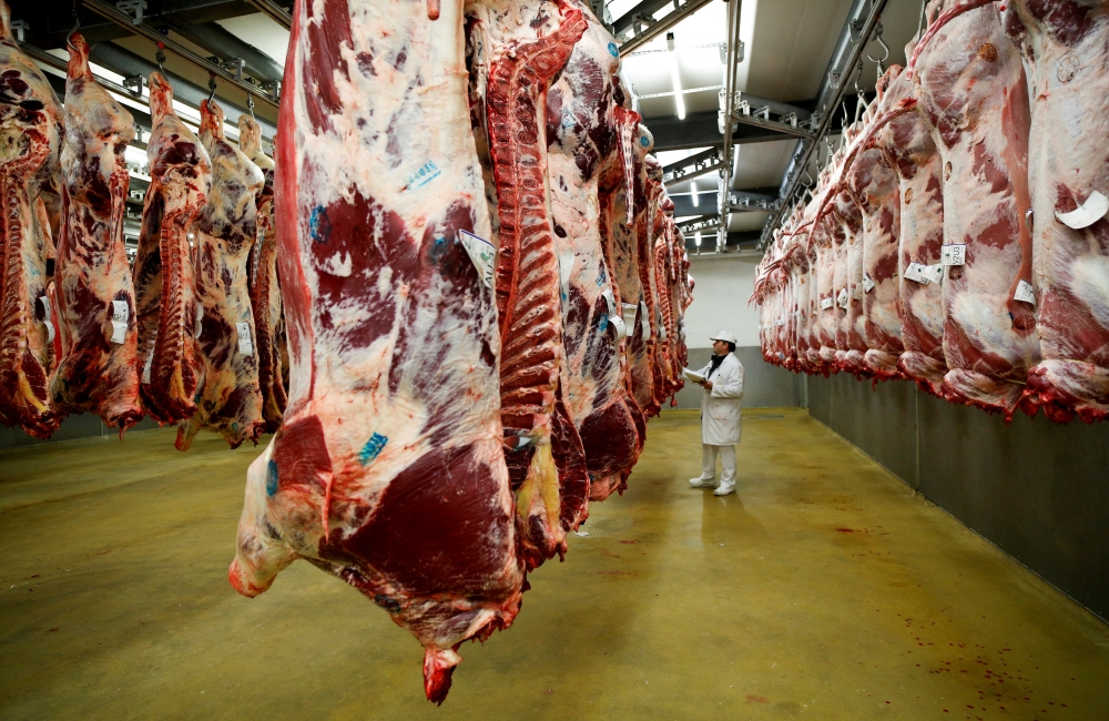 A wholesaler inspects beef carcasses that hang inside a refrigerated room at the Cibevial slaughterhouse in Corbas, France, May 4, 2016. Reuters/Robert Pratta 