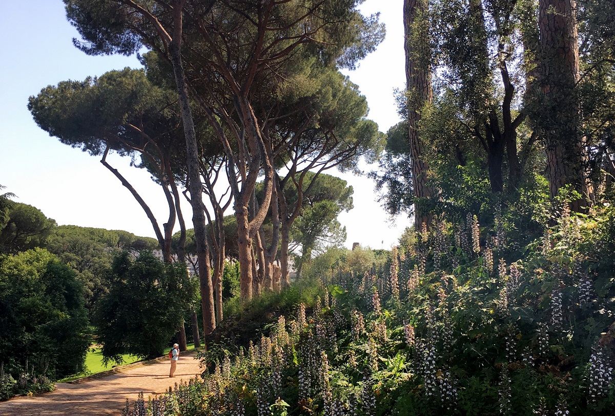 The eastern slope of Rome's Palatine hill, which is distinguished by unexpected greenery. Photo for The Washington Post by Anne Calcagno
