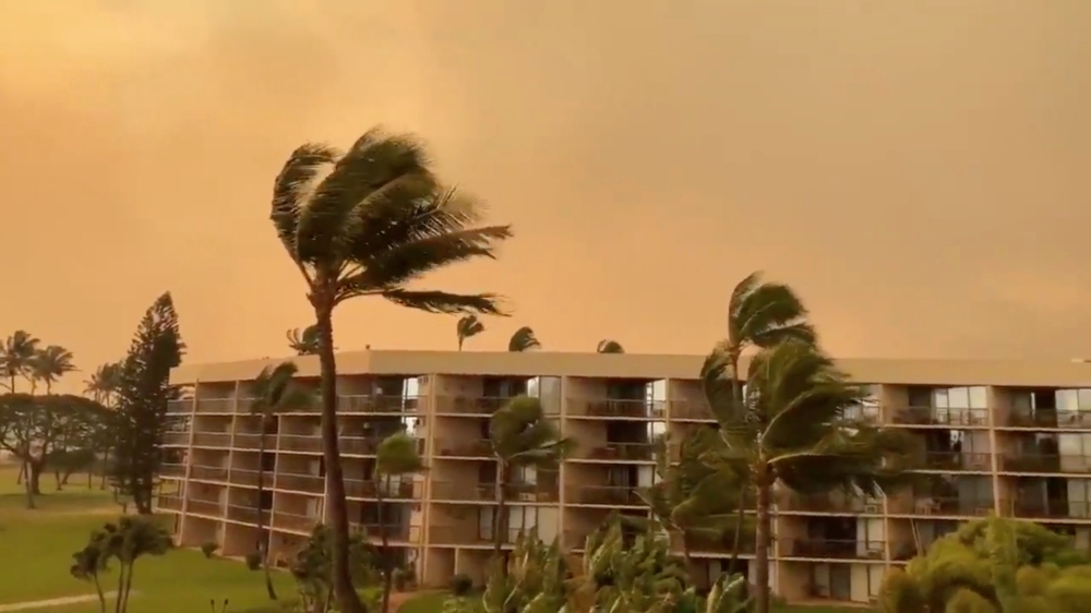 The weather is seen after wildfires in Maui, Hawaii, US July 11, 2019.  (Georgia C Kronenberg via Reuters) 