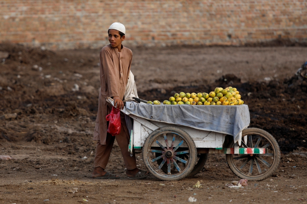A boy pushes a cart as he is selling mangoes along a street in Peshawar, Pakistan July 19, 2019. Reuters/Fayaz Aziz
