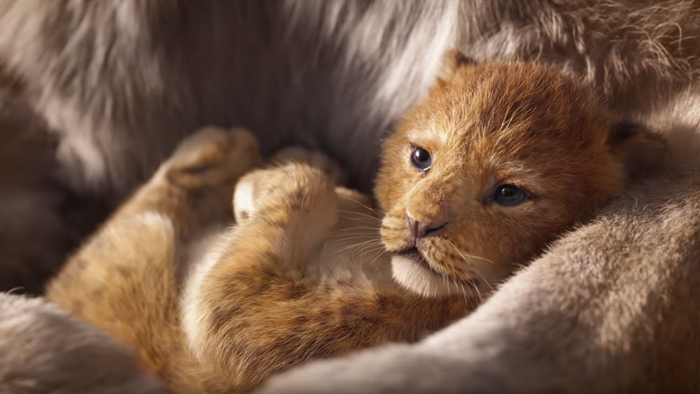 Still from the movie The Lion King.