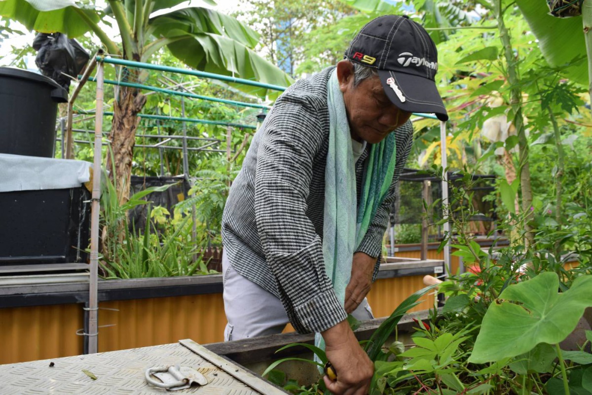 Retired taxi driver Roger Loh tending to his plants at an allotment garden in Singapore March 6, 2019. Thomson Reuters Foundation/Beh Lih Yi
