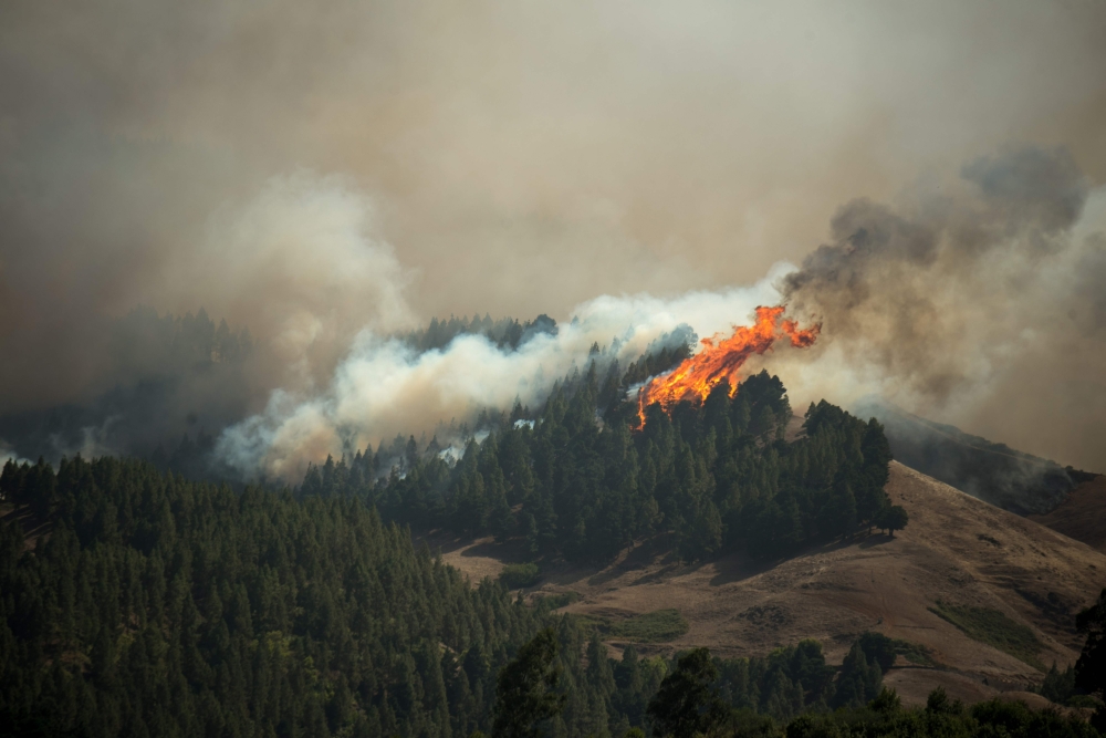 Flames rise from a forest fire raging in Montana Alta on the island of Gran Canaria on August 18, 2019.  / AFP / DESIREE MARTIN 