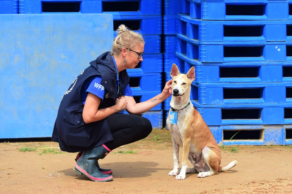 In this picture taken on July 23, 2019, World Food Programme (WFP) official Gemma Snowdon (L) interacts with Foxtrot, a dog with the WFP K9 unit, in the Kutupalong camp for Rohingya refugees in southern Bangladesh.  AFP / Munir UZ ZAMAN