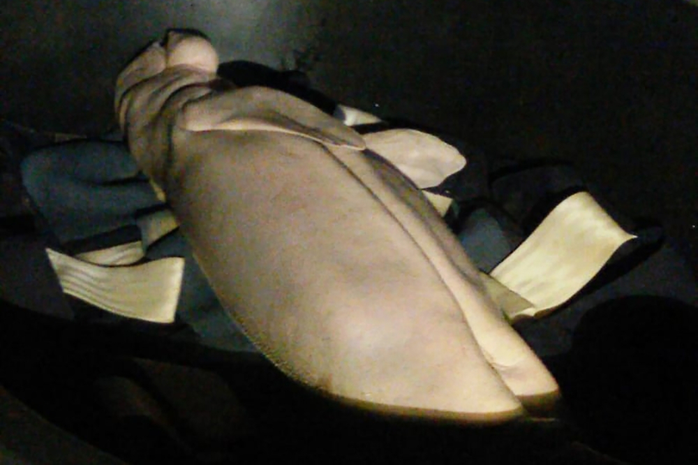 This handout from the Department of National Parks, Wildlife and Plant Conservation (DNP) taken and released on August 17, 2019 shows Mariam the dugong lying in a container after she died at the Trang province marine park. AFP PHOTO / DEPARTMENT OF NATION