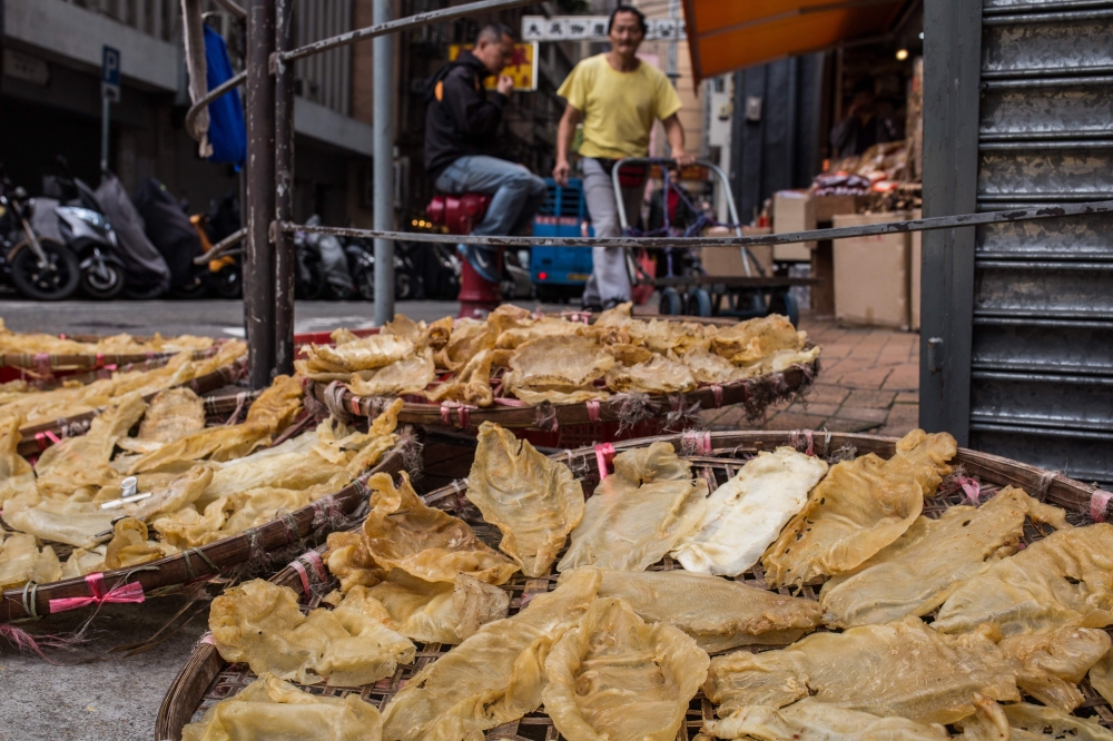  In this file photo taken on March 29, 2016 shows fish maws placed in a basket to dry on the side of a main road outside a dried goods shop in Hong Kong. AFP / Anthony Wallace 