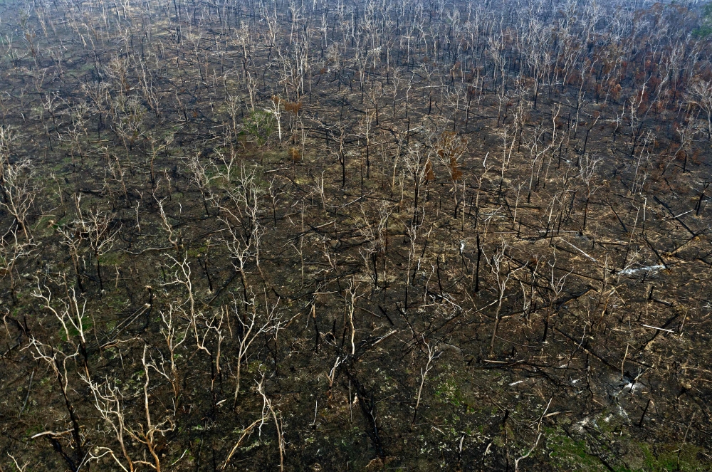 Aerial view of burnt areas of the Amazon rainforest, near Abuna, Rondonia state, Brazil, on August 24, 2019. AFP / CARL DE SOUZA