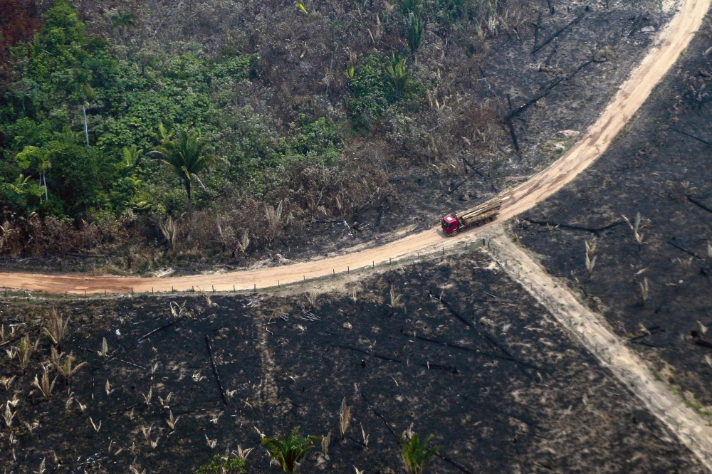 Aerial view of burnt areas of the Amazon rainforest, near Boca do Acre, Amazonas state, Brazil, in the Amazon basin, on August 24, 2019.  AFP / Lula Sampaio  