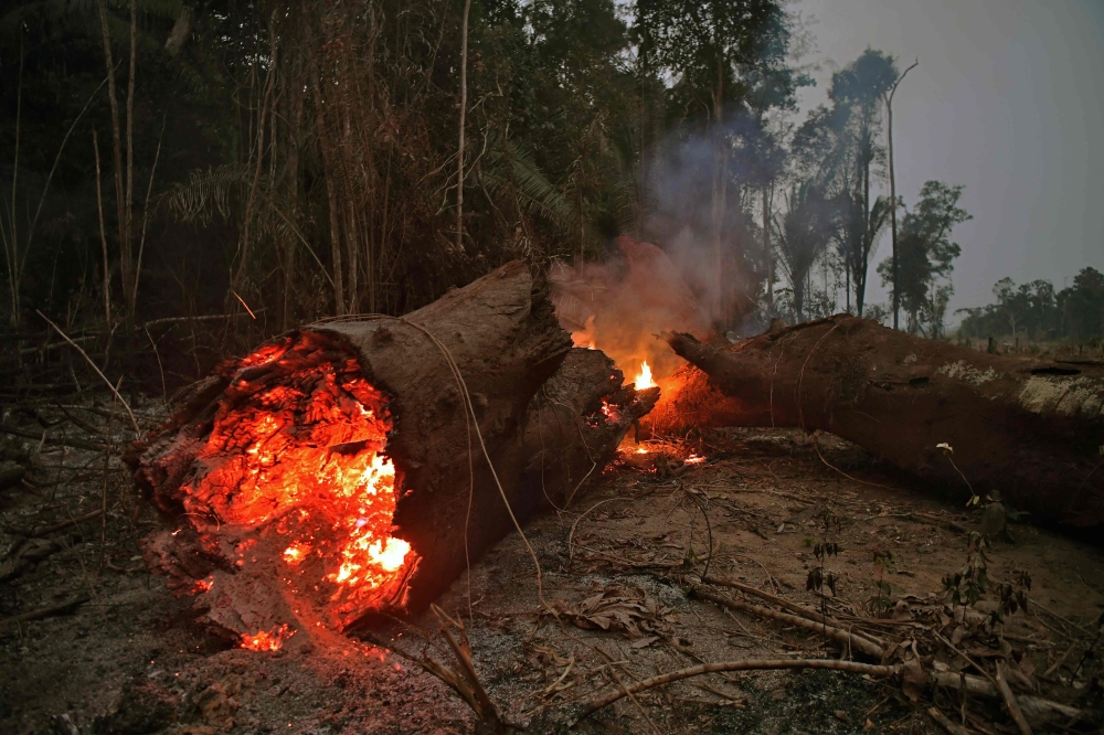 View of fire in the Amazon rainforest, near Abuna, Rondonia state, Brazil, on August 24, 2019. AFP / CARL DE SOUZA