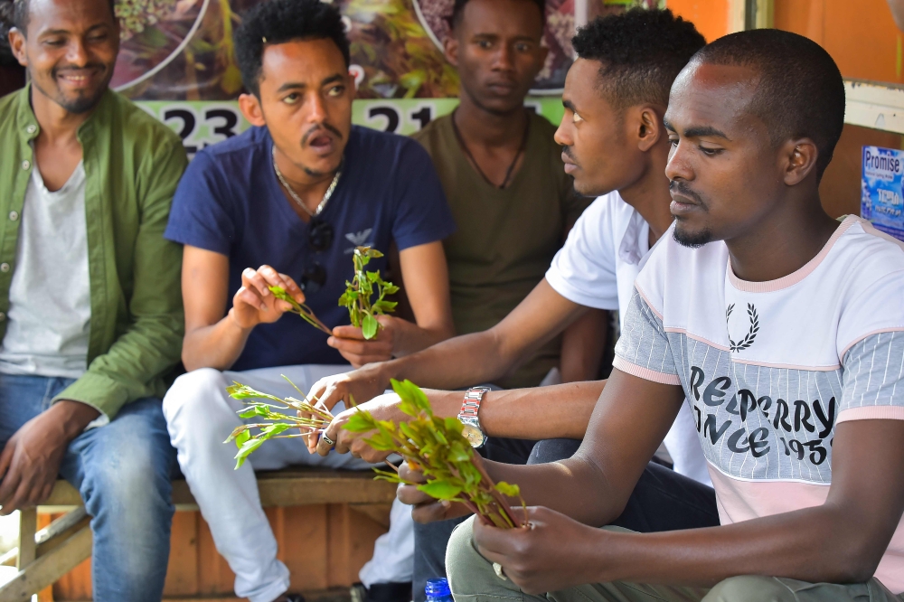 Ousman Abdulahi (R) and his friends chew khat at a road side dealer's shop in an area known as 'Little Mogadishu' in Addis Ababa on July 23, 2019. AFP / Michael Tewelde 