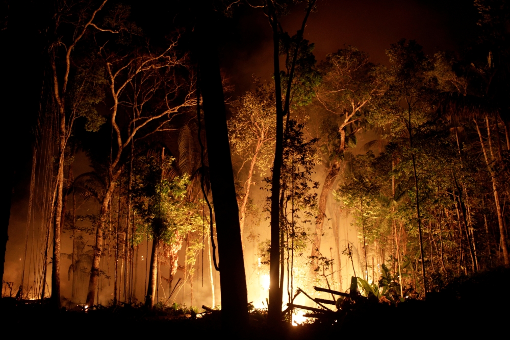 A fire burns a tract of Amazon jungle as it is cleared by loggers and farmers near Porto Velho, Brazil August 31, 2019. REUTERS/Ricardo Moraes 
