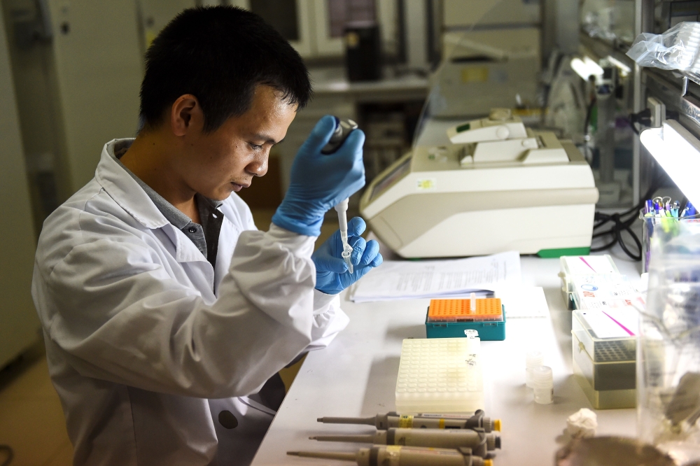 This photo taken on August 23, 2019 shows laboratory official Nguyen Viet Hoang examining mosquito samples at the National Institute of Hygiene and Epidemiology in Hanoi. AFP / Nhac Nguyen