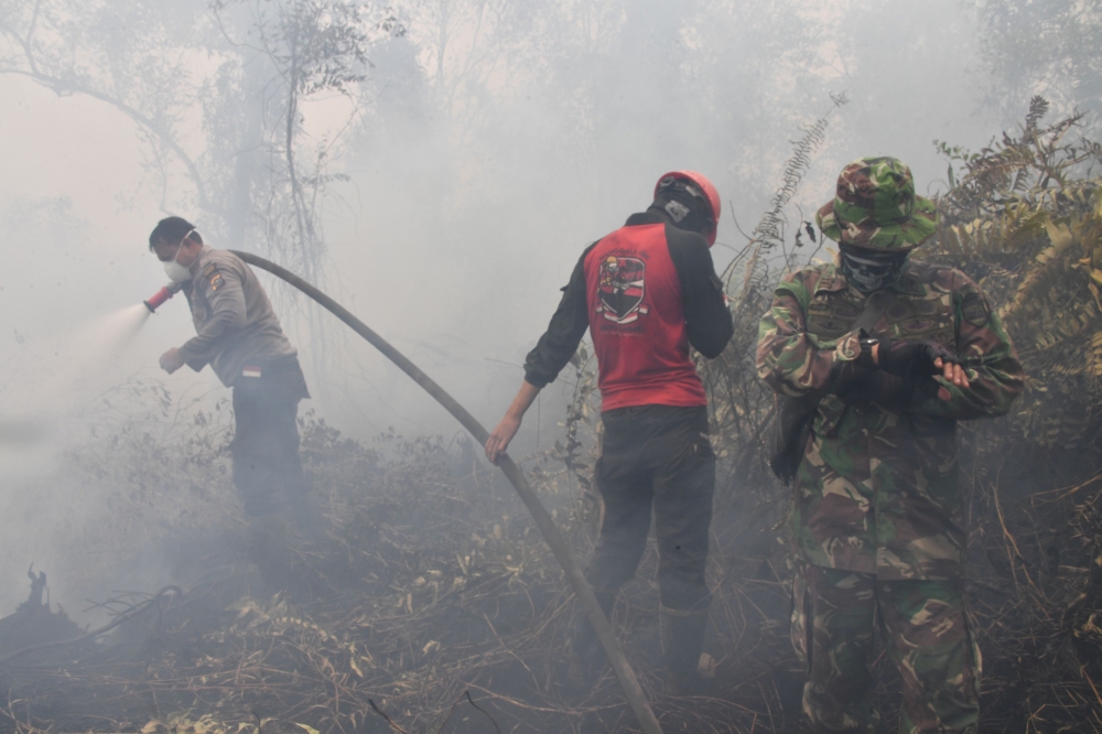 Indonesian firefighters spray water to extinguish a fire in Kampar on September 16, 2019. AFP / ADEK BERRY