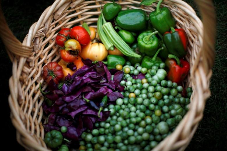 Freshly harvested vegetables are shown in a basket after they were picked during the fall harvest of the White House Kitchen Garden at the White House in Washington, October 20, 2010. Reuters / Jason Reed