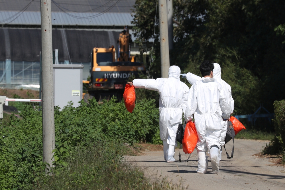 Quarantine officials wearing protective gear walk near a pig farm involved in African swine fever in Yeoncheon, South Korea, September 18, 2019. Yonhap via REUTERS