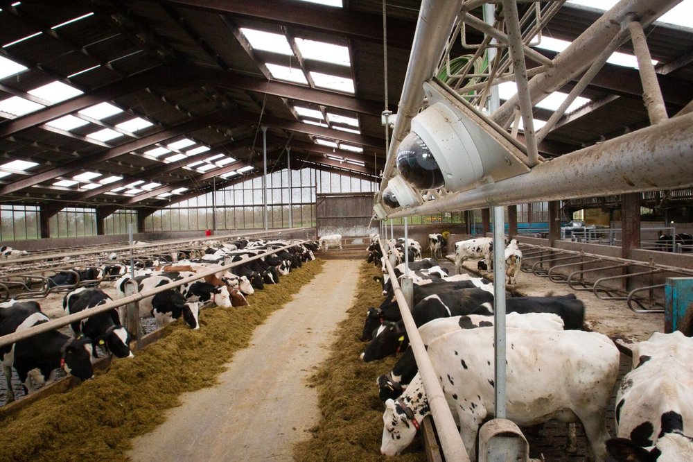 Photo courtesy: feednavigator.com