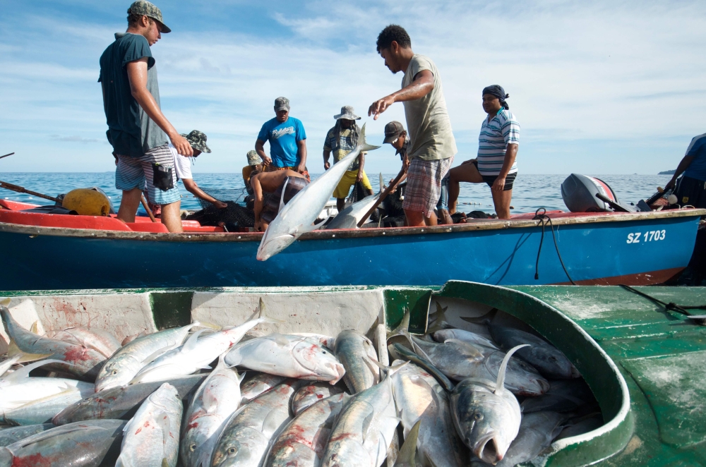 Fishermen pulling in fish caught in their nets off the coast of Mahe in the Seychelles islands on February 21, 2018. AFP Photo / The Nature Conservancy / Tate Drucker