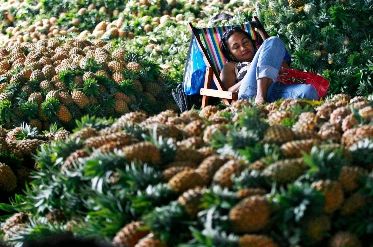 A fruit vendor takes a rest from selling pineapple at a public market in Quezon City Metro Manila December 6, 2011. Reuters/Cheryl Ravelo