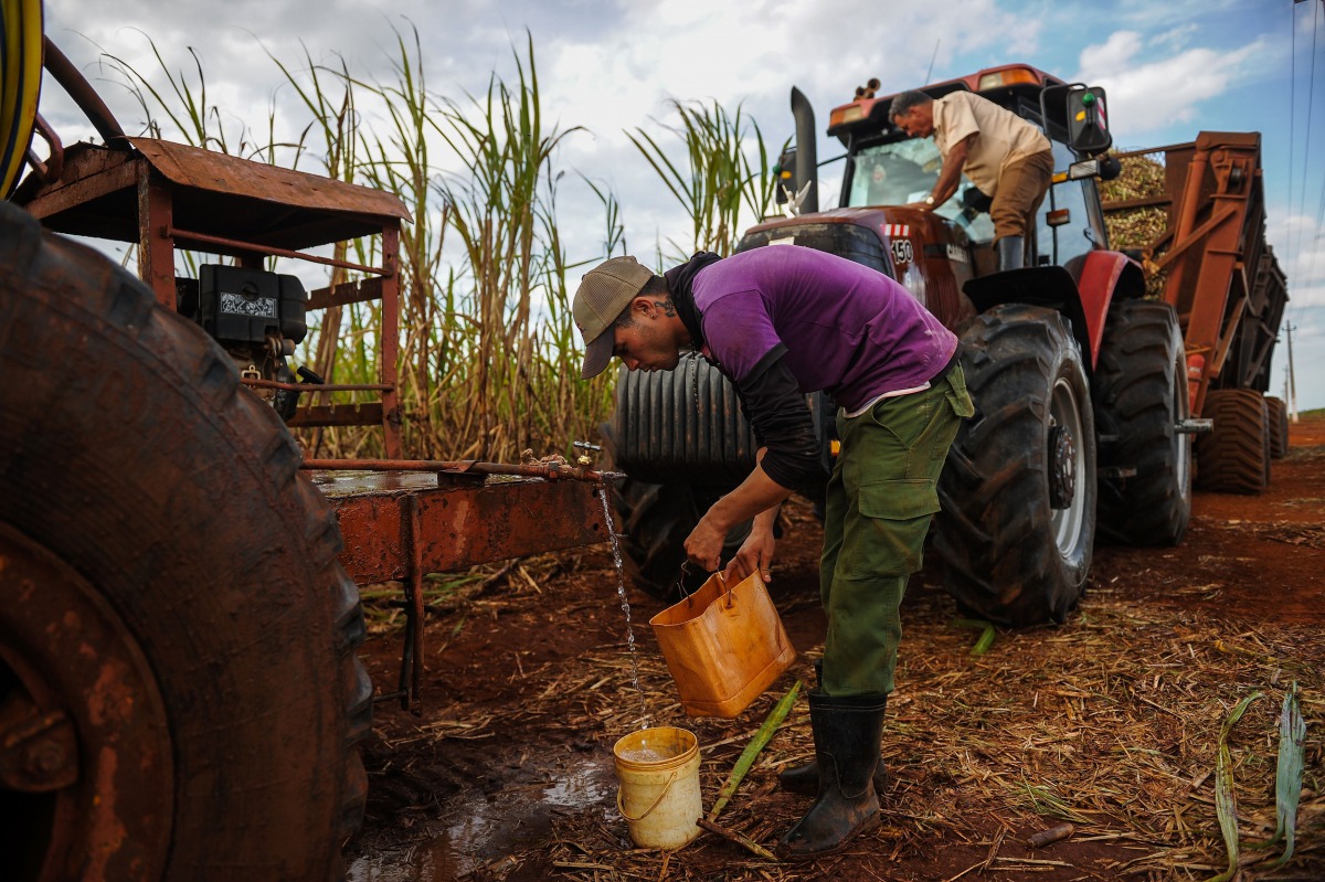 Men work in a cane field in Calimete Matanzas province, Cuba on March 16, 2017.