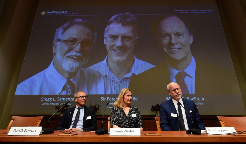 Nobel Assembly members (L-R) Patrik Ernfors, Anna Wedell and Randall Johnson sit in front of a screen displaying the winners of the 2019 Nobel Prize in Physiology or Medicine (L-R) Gregg Semenza, Peter Ratcliffe and William Kaelin after their names were a