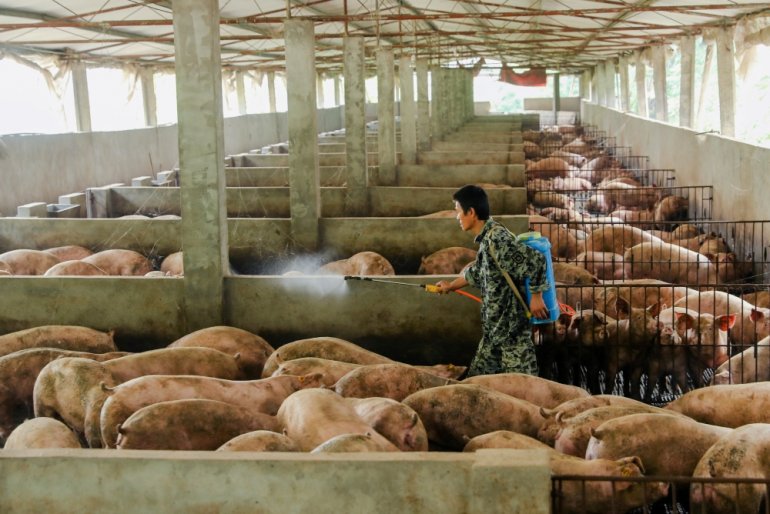 File photo of a man disinfecting a pig farm in Guangan, Sichuan province, China August 27, 2019. REUTERS/Stringer/File Photo 
