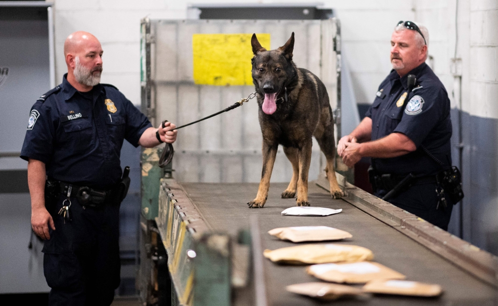 Officers from the Customs and Border Protection, Trade and Cargo Division work with a dog to check parcels at John F. Kennedy Airport's US Postal Service facility on June 24, 2019 in New York. AFP / Johannes Eisele 