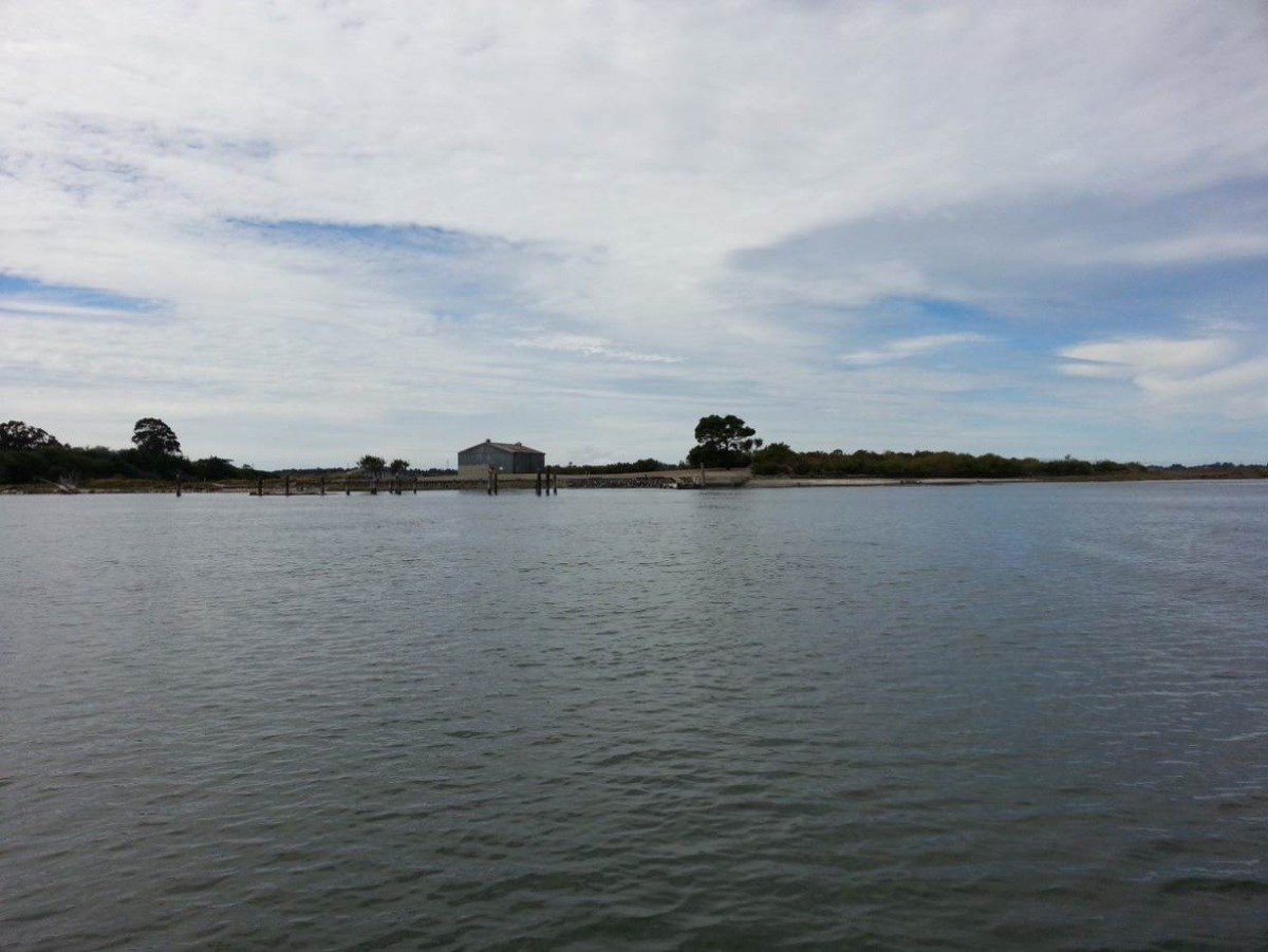 A view of Duluwat Island, off the coast of Eureka, California. Handout photo by the Wiyot tribe.