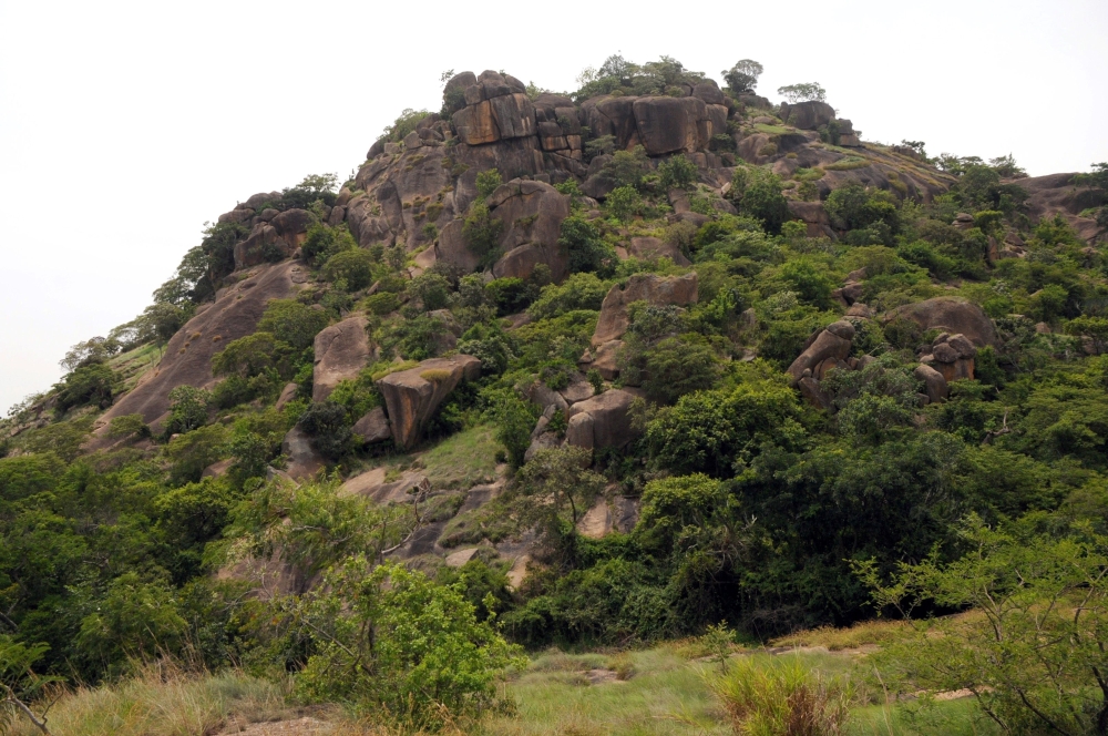 The Amurum Forest Reserve where undulating rock formations surround a savannah dominated by lush and tall grass in Jos Plateau State, Nigeria, pictured on June 5, 2014. AFP