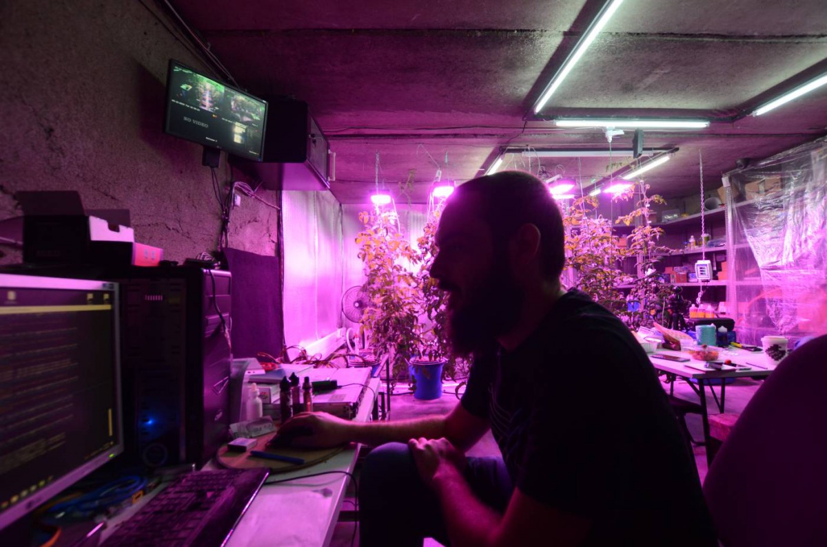 Georgian entrepreneur Shota Siradze works at a computer mining cryptocurrency inside a basement turned urban farm in Tbilisi, Georgia on March 12, 2019. Thomson Reuters Foundation / Umberto Bacchi
