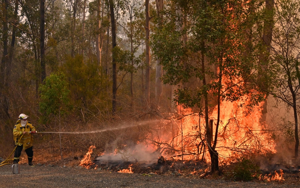 Firefighters tackle a bushfire to save a home in Taree, 350km north of Sydney on November 9, 2019, as they try to contain dozens of out-of-control blazes that are raging in the state of New South Wales. AFP / Peter Parks 